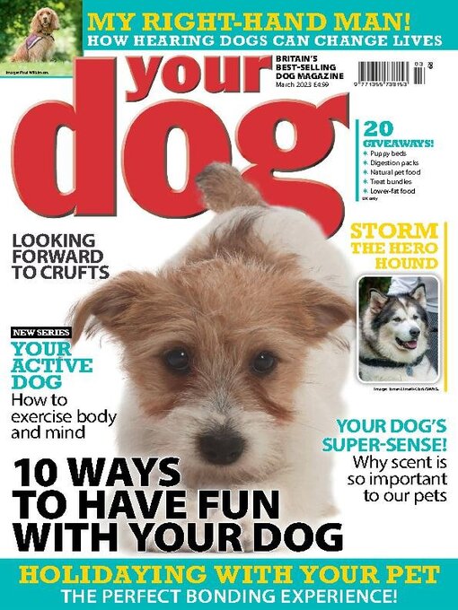 Title details for Your Dog by Warners Group Publications Plc - Available